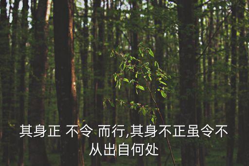 其身正 不令 而行,其身不正雖令不從出自何處