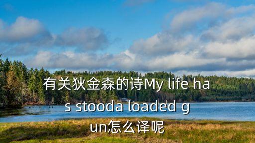 有關狄金森的詩My life has stooda loaded gun怎么譯呢