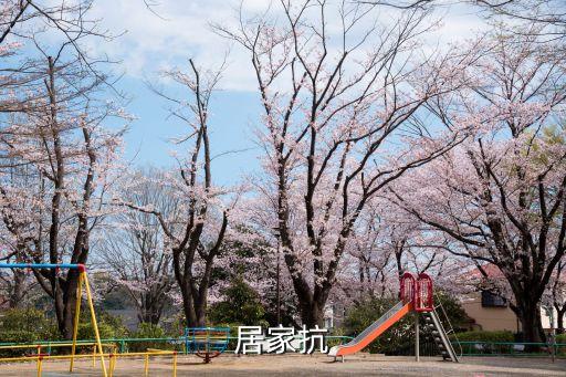 居家抗
