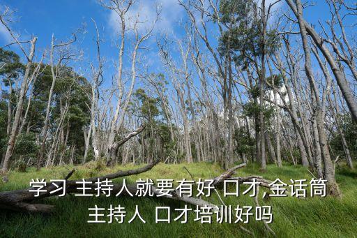 學習 主持人就要有好 口才,金話筒 主持人 口才培訓好嗎