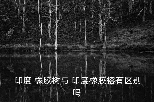 印度橡膠樹,印度橡膠樹和橡膠最好在清明節(jié)前換盆