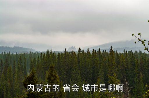  內(nèi)蒙古的 省會 城市是哪啊