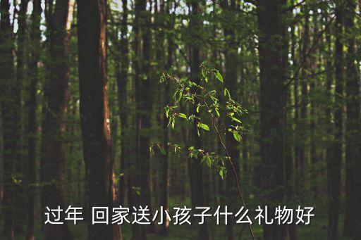 送小朋友回家,印度電影《小蘿莉的猴子大叔》大叔送小女孩回家