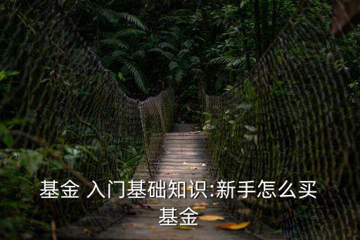  基金 入門(mén)基礎(chǔ)知識(shí):新手怎么買(mǎi) 基金