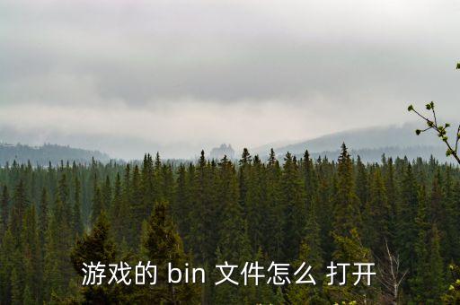 游戲的 bin 文件怎么 打開(kāi)