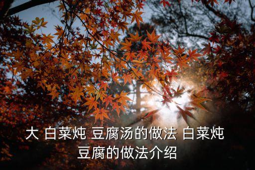 大 白菜燉 豆腐湯的做法 白菜燉 豆腐的做法介紹
