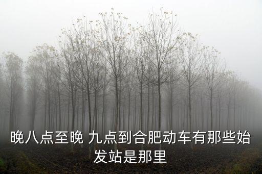 晚八點至晚 九點到合肥動車有那些始發站是那里