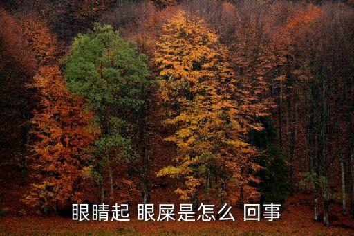 有眼屎是怎么回事,長時間不用眼睛休息眼淚會增多