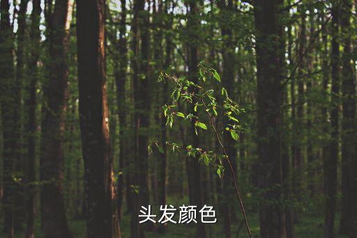 頭發(fā)顏色
