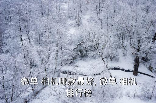  微單 相機(jī)哪款最好, 微單 相機(jī) 排行榜