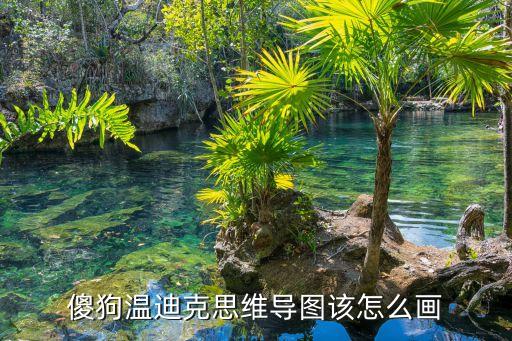 傻狗溫迪克思維導圖該怎么畫