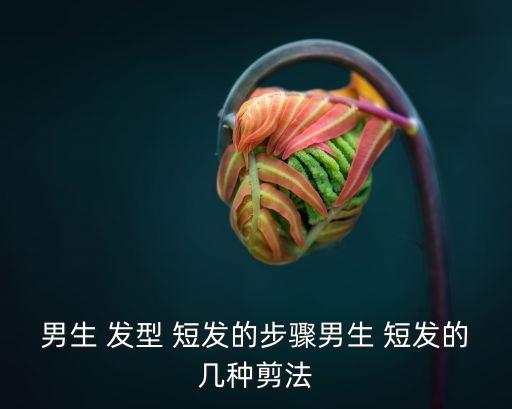 男生 發型 短發的步驟男生 短發的幾種剪法