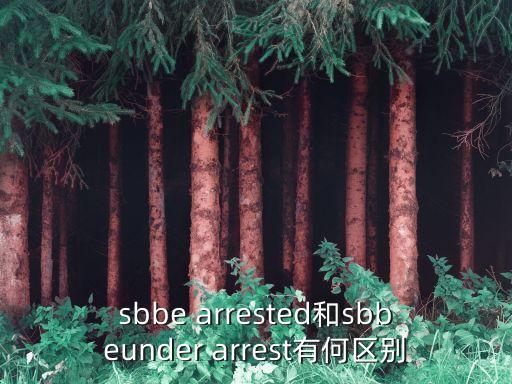 sbbe arrested和sbbeunder arrest有何區別