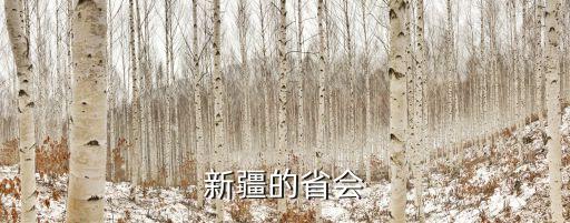 新疆省會，新疆的省會