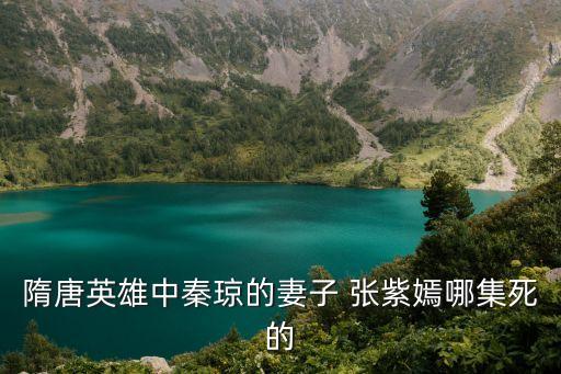 張紫嫣,救了秦皇一命張紫嫣喬裝成男人向秦瓊報告