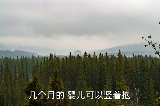 幾個月的 嬰兒可以豎著抱