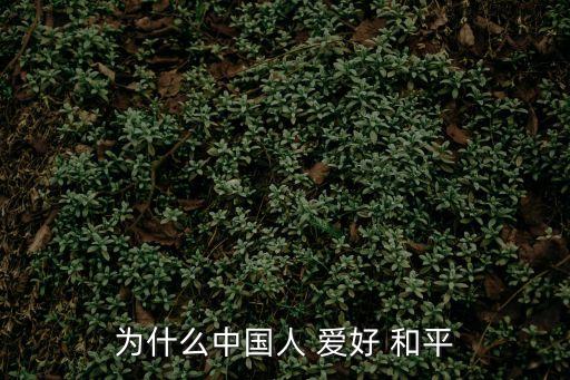 愛好和平,在外人眼里中國是一個(gè)愛好和平的國家?