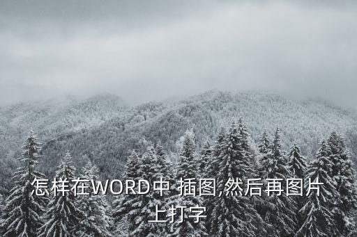 怎樣在WORD中 插圖,然后再圖片上打字