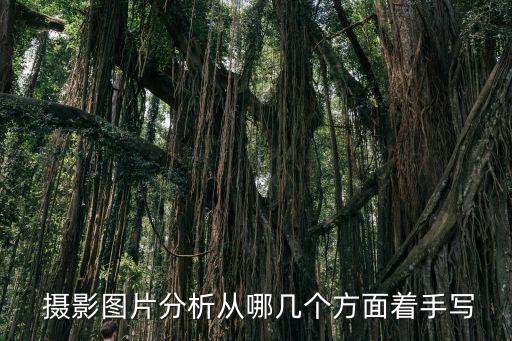  攝影圖片分析從哪幾個方面著手寫