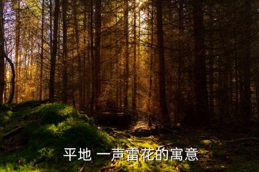 平地一聲雷,飛上天一鳴驚人，平地一聲雷