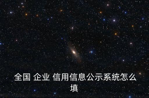  全國(guó) 企業(yè) 信用信息公示系統(tǒng)怎么填