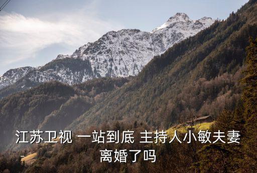 江蘇衛視 一站到底 主持人小敏夫妻離婚了嗎