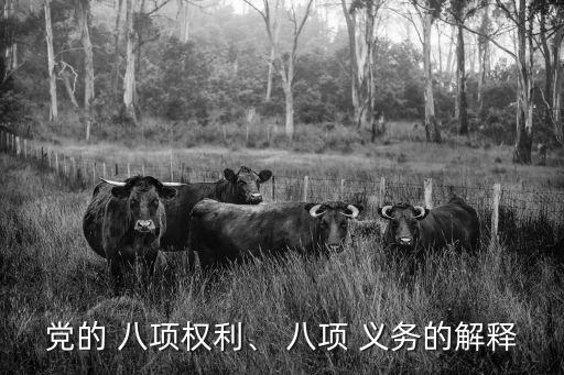 八項義務,黨員須遵守八項權利:知情權和公平正義