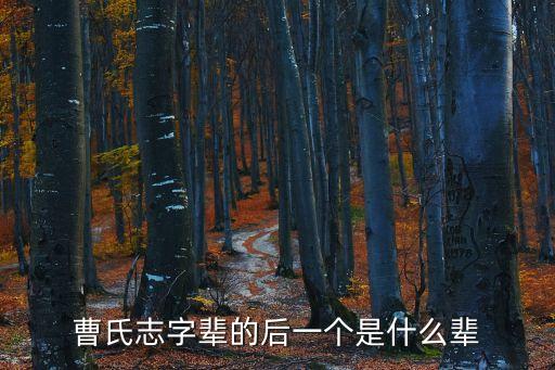 曹氏志字輩的后一個是什么輩