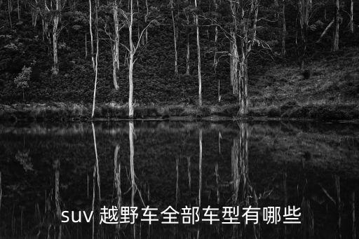 越野型suv,越野suv強勁動力兼具越野和載客功能
