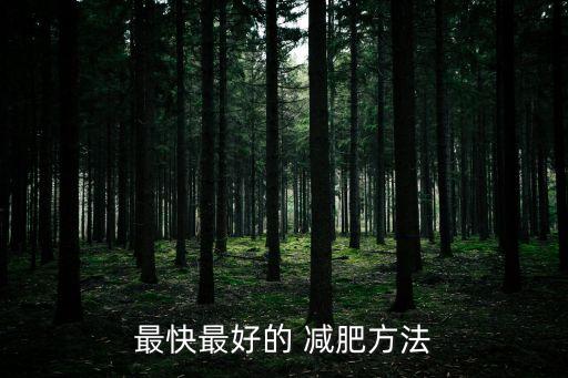 最快最好的 減肥方法