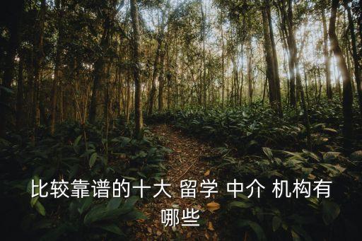 留學(xué)中介機(jī)構(gòu)咨詢