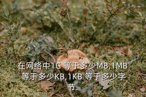 在網絡中1G 等于多少MB,1MB 等于多少KB,1KB 等于多少字節.