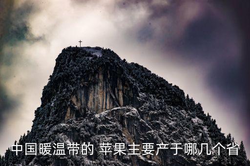 沂源蘋果,中國蘋果20強縣陜西種植總面積居全國第一