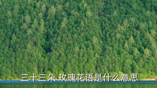 三十三朵玫瑰代表什么意思,愛你三代