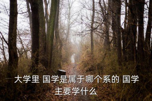 國學大學,對比國學專業院校不多國大有新專業