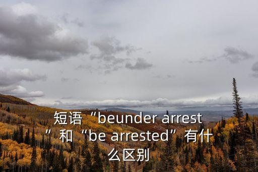 arrest,警方逮捕四名嫌犯釋放出疑似蓄意謀殺