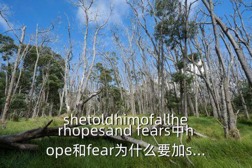 shetoldhimofallherhopesand fears中hope和fear為什么要加s...