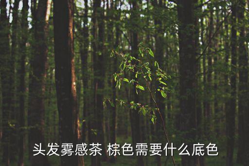  頭發霧感茶 棕色需要什么底色