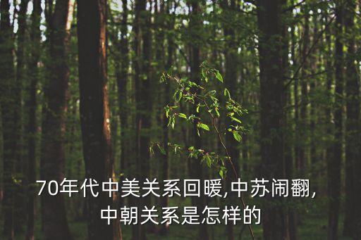 70年代中美關系回暖,中蘇鬧翻, 中朝關系是怎樣的