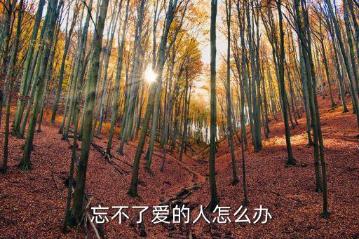 忘不了你的愛,忘記深愛的人最好方法是不見他不聞其他
