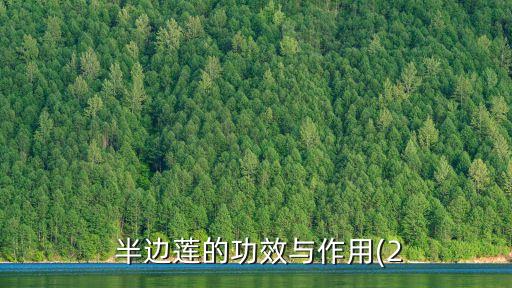  半邊蓮的功效與作用(2