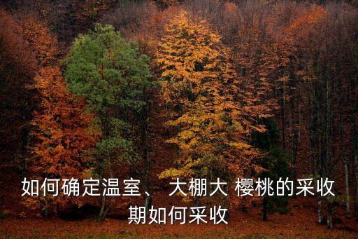 如何確定溫室、 大棚大 櫻桃的采收期如何采收