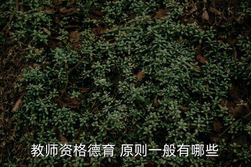教師資格德育 原則一般有哪些