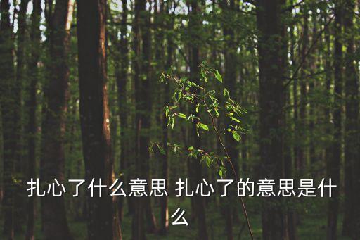 扎心是什么意思,扎心和不扎心比較心理學知識