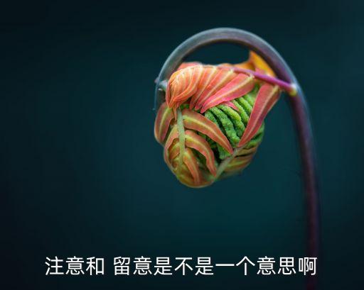 留意,財富管理學堂（18）