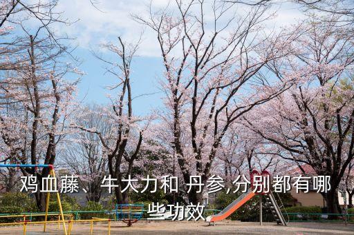 雞血藤、牛大力和 丹參,分別都有哪些功效