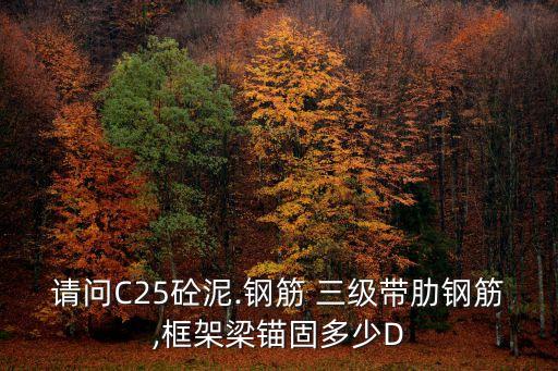 三級帶,空手道等級:無級白帶，十橙帶、一杠
