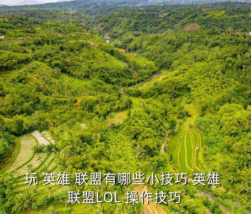 英雄聯(lián)盟操作,快速移動英雄聯(lián)盟:鼠標(biāo)懸停空中不會釋放普攻