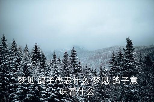 夢見鴿子,從鴿子夢中尋獲寶藏