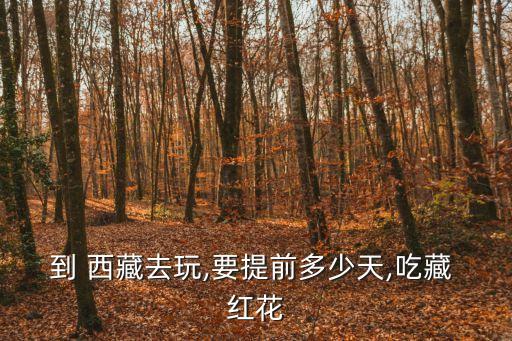 到 西藏去玩,要提前多少天,吃藏 紅花